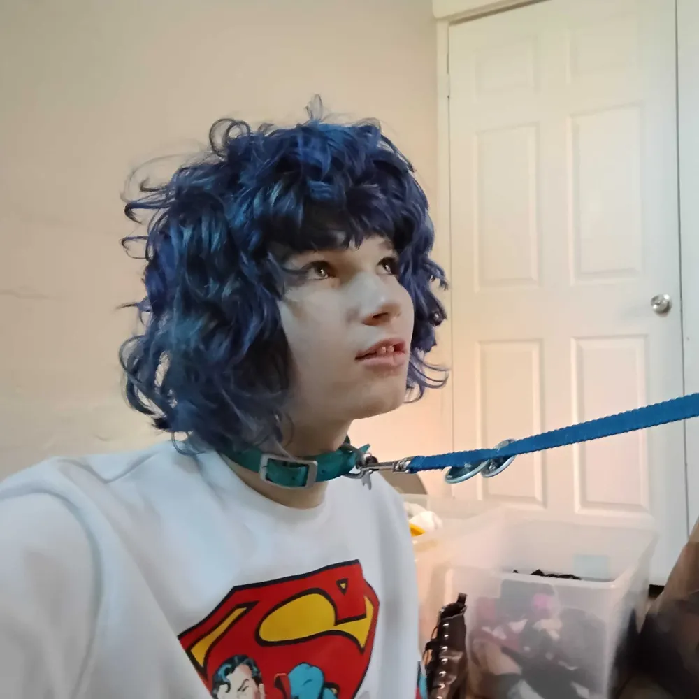 doggirldotfaggot.bsky.social's profile picture