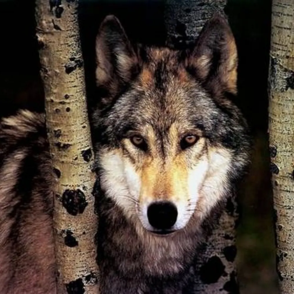 pbmiller63.bsky.social's profile picture