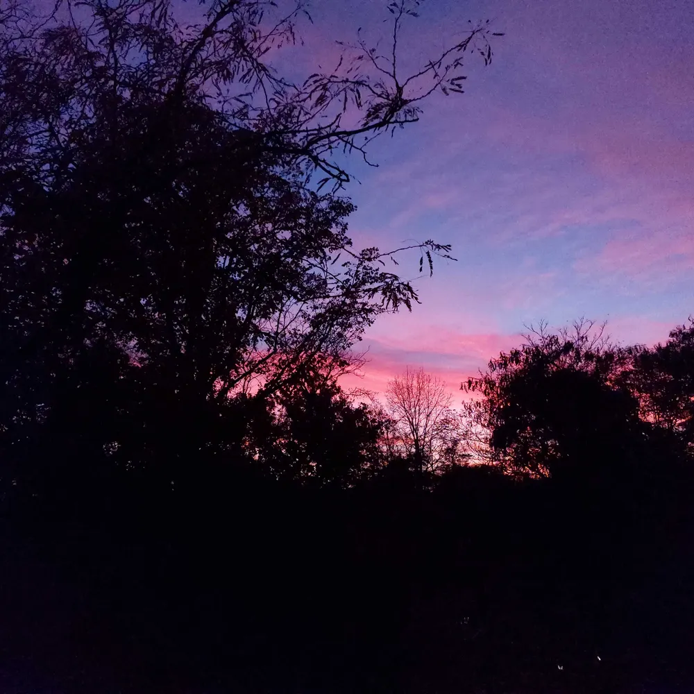 sethtaylor.bsky.social's profile picture