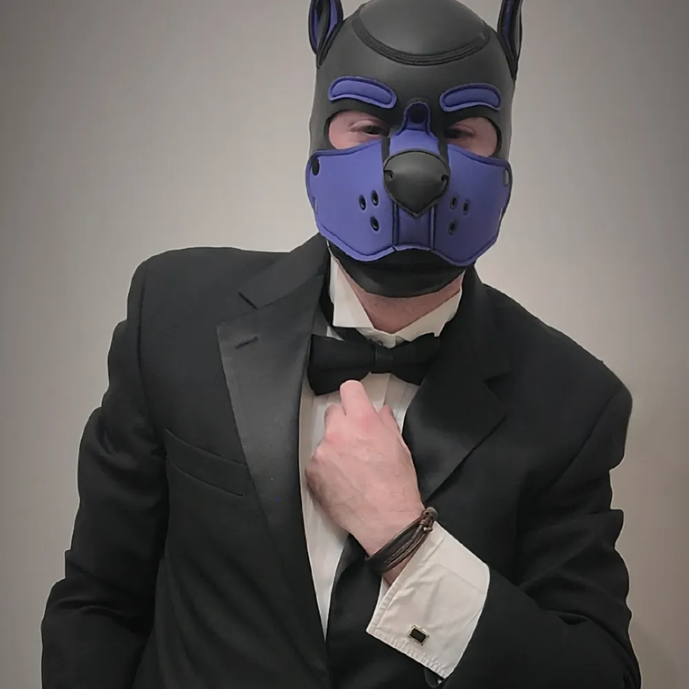 goodboic.bsky.social's profile picture