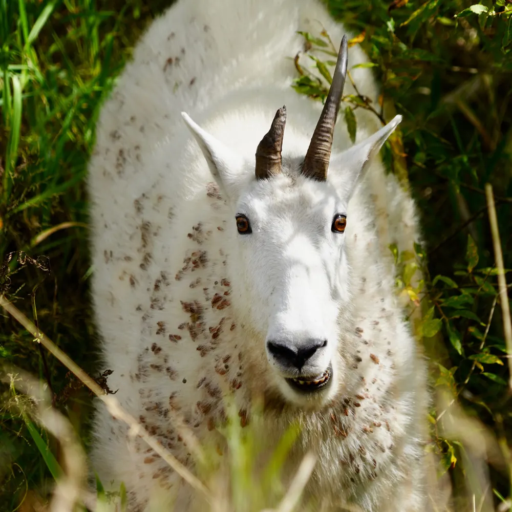 theblainetruth.bsky.social's profile picture