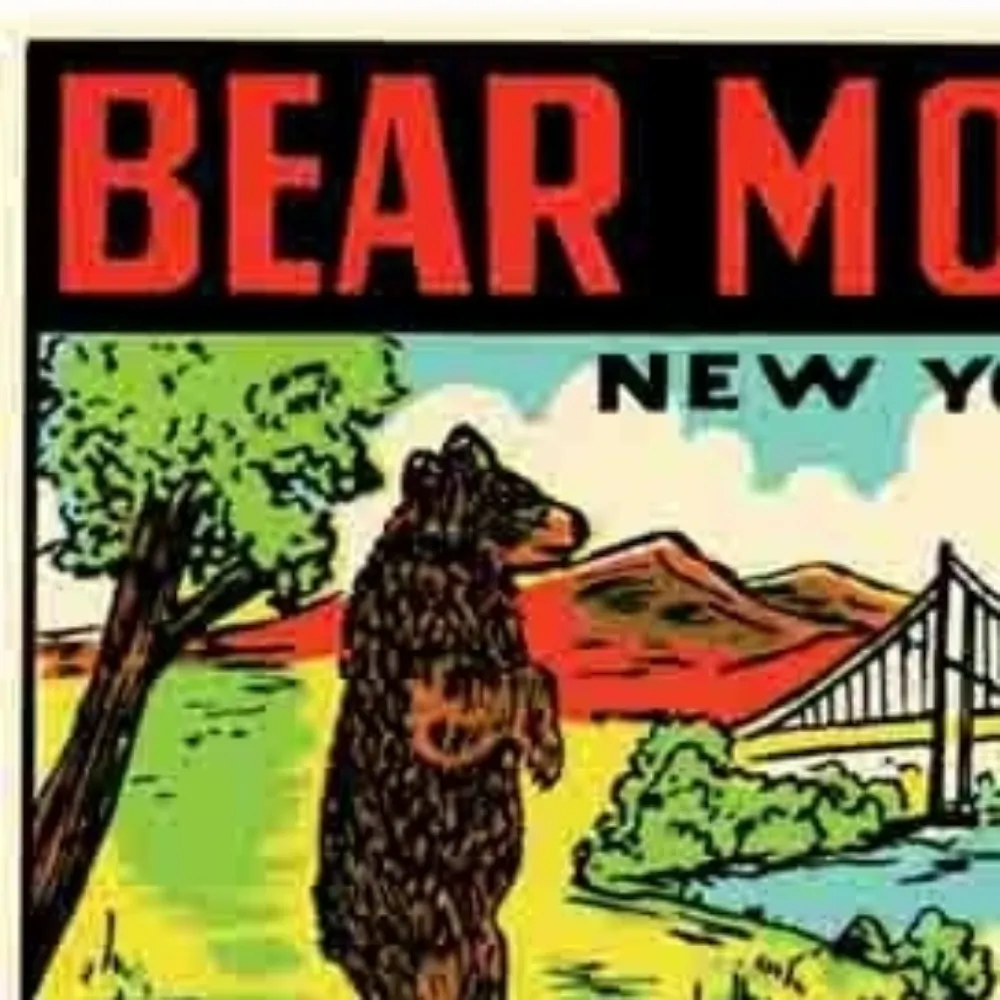 bearmountainpicnic.bsky.social's profile picture