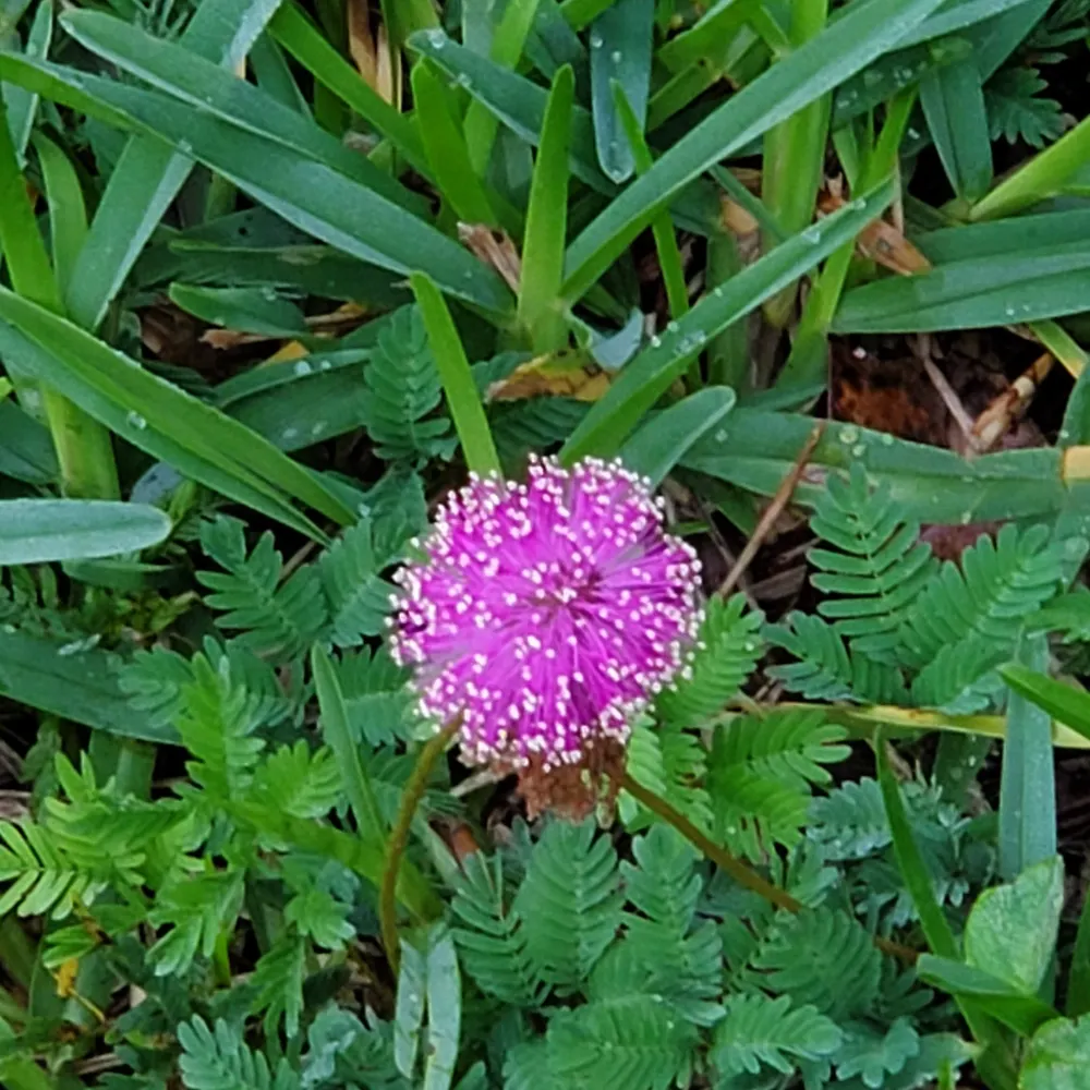 edzedmore.bsky.social's profile picture