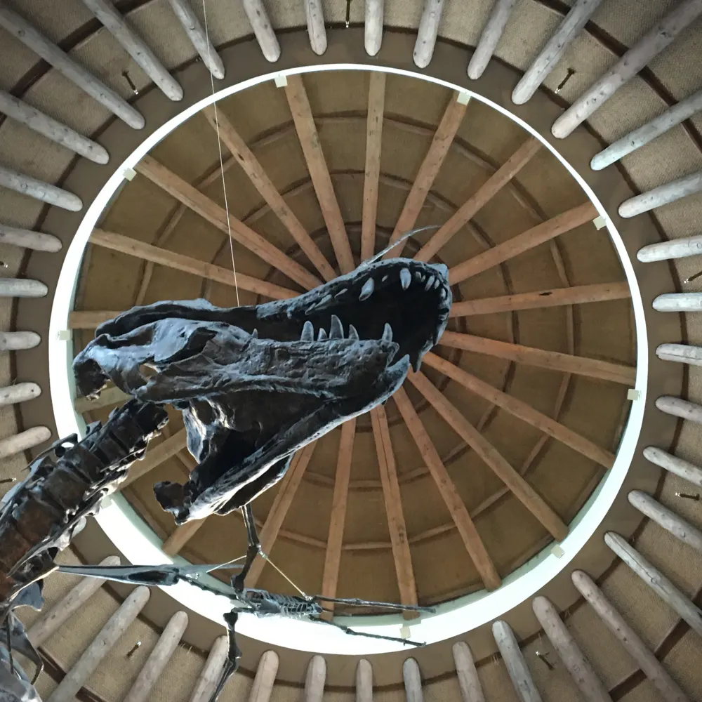 orionjack.bsky.social's profile picture