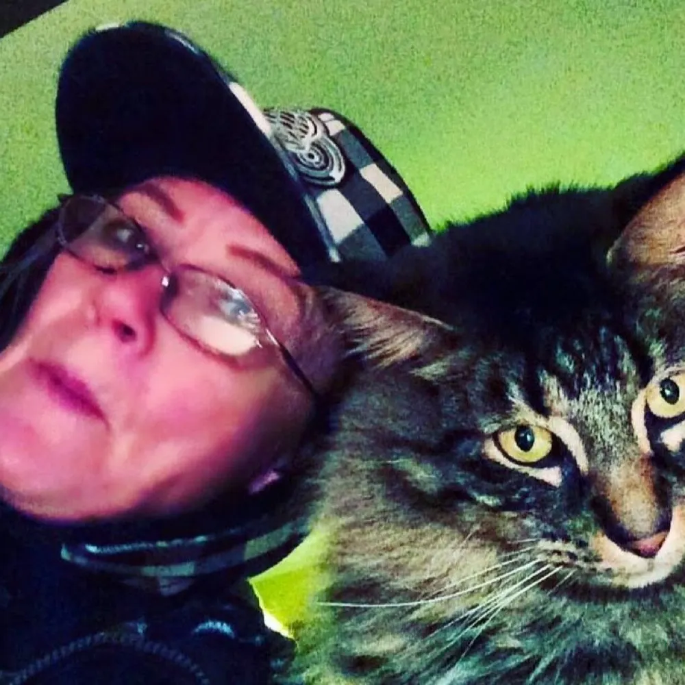 gloinjo.bsky.social's profile picture