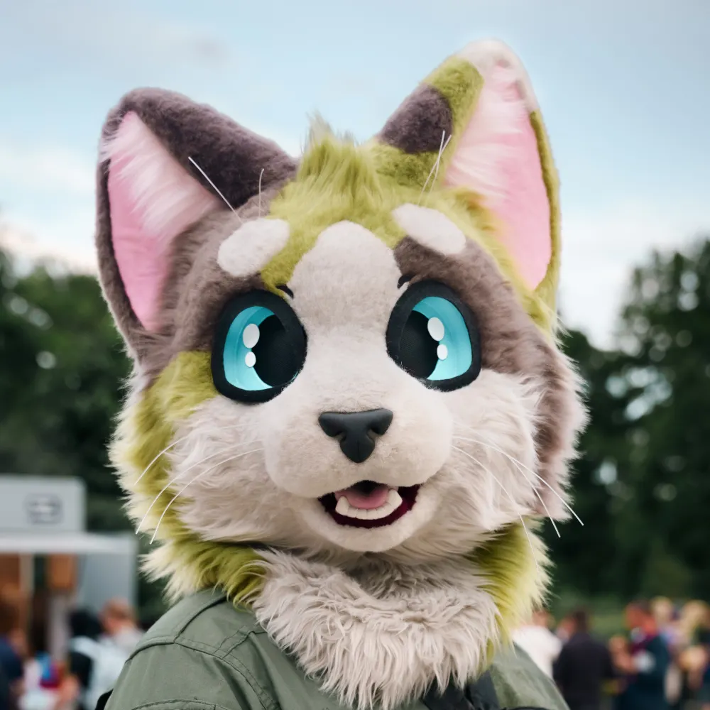 stiivmeowmeow.bsky.social's profile picture