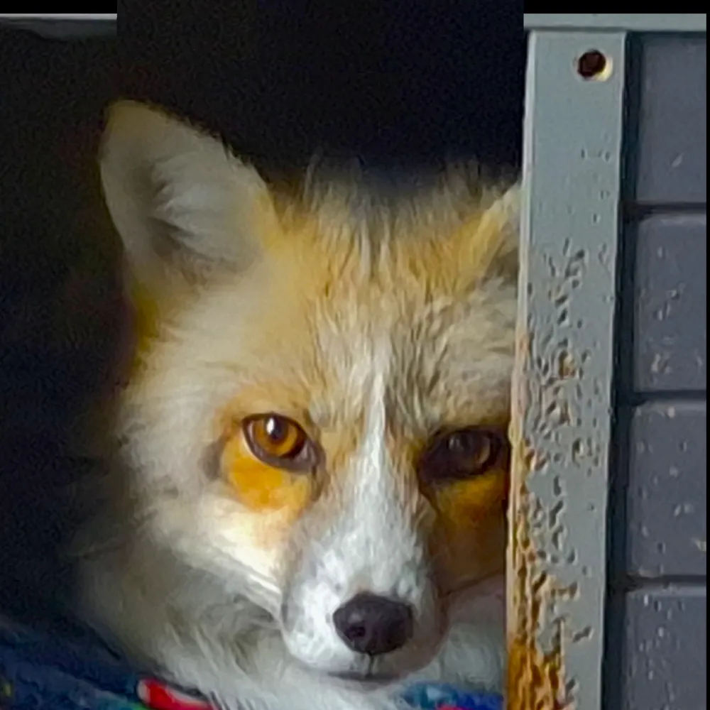 hegweardtsulalgi.bsky.social's profile picture