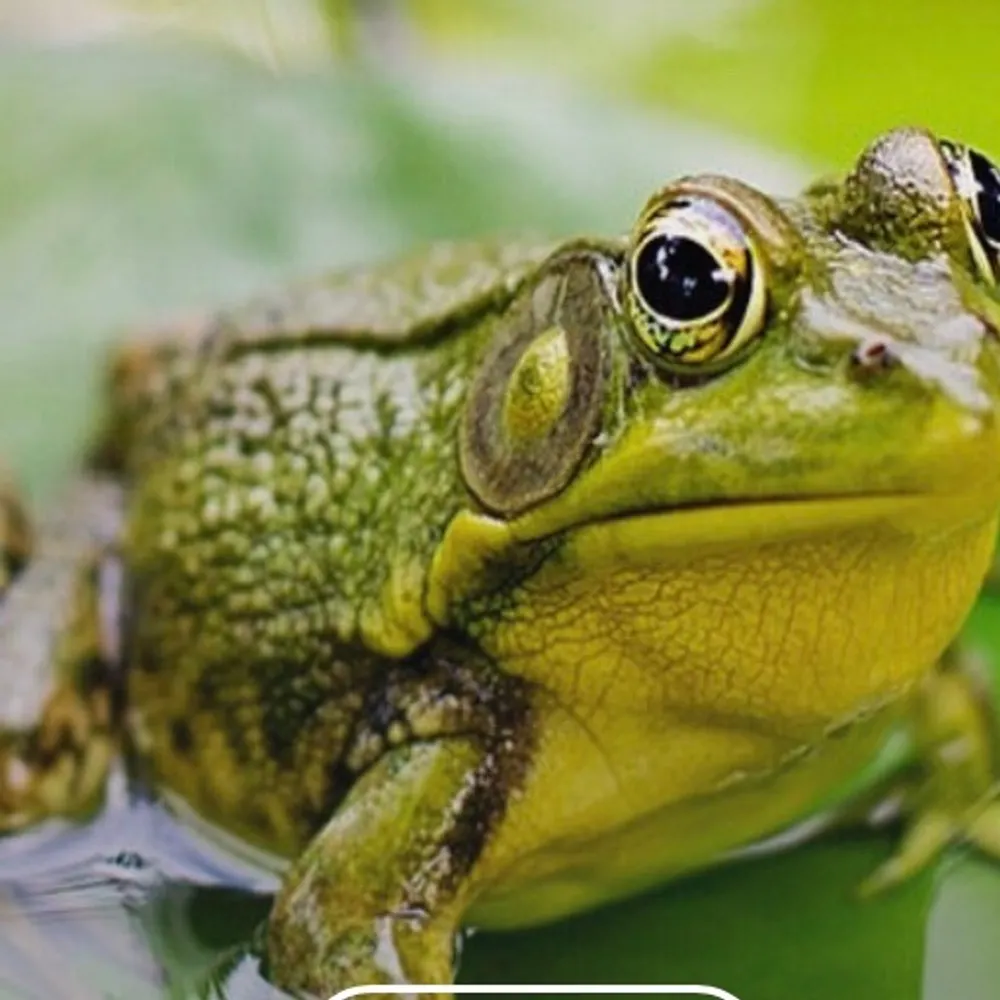 bnastu.bsky.social's profile picture