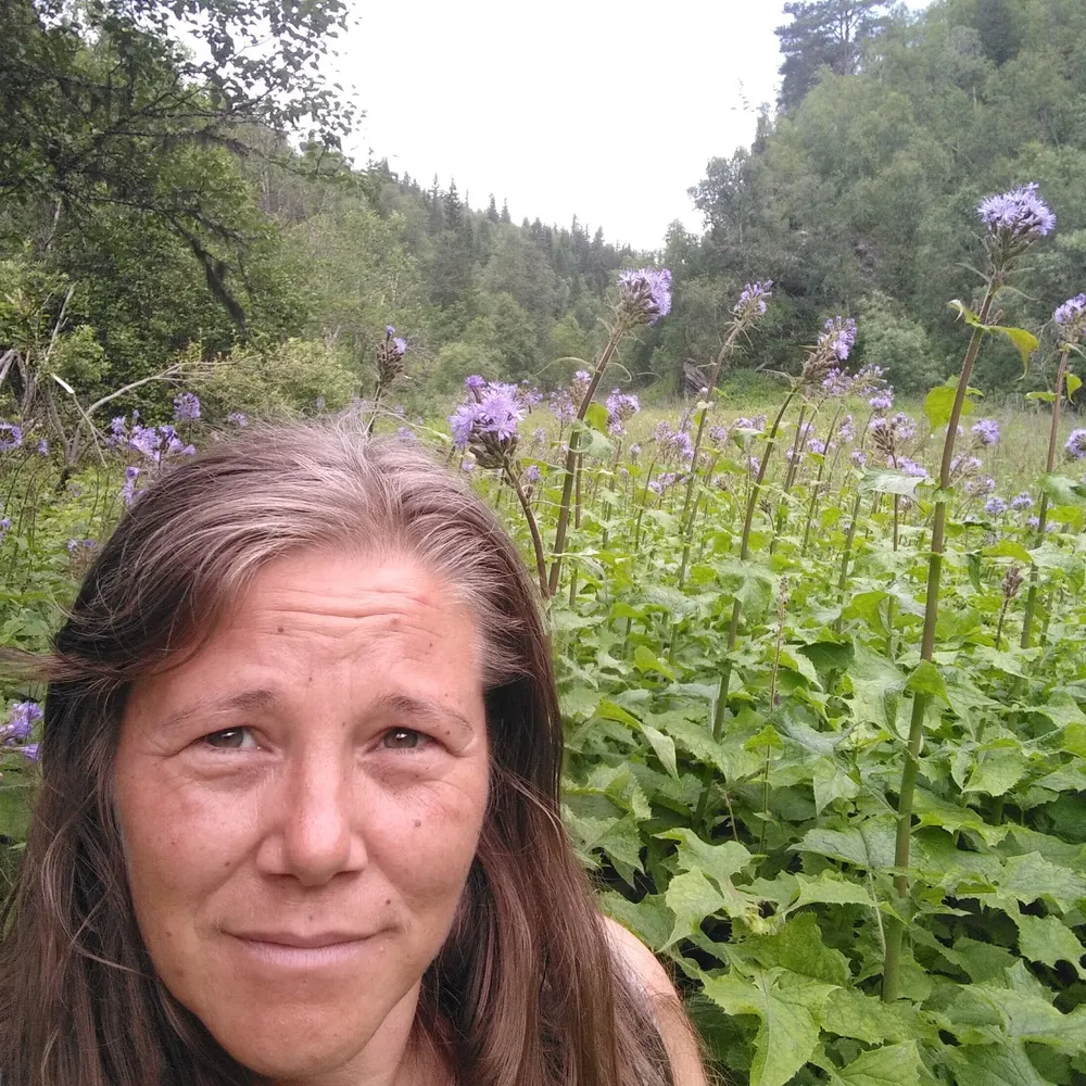 lenaveronica.bsky.social's profile picture