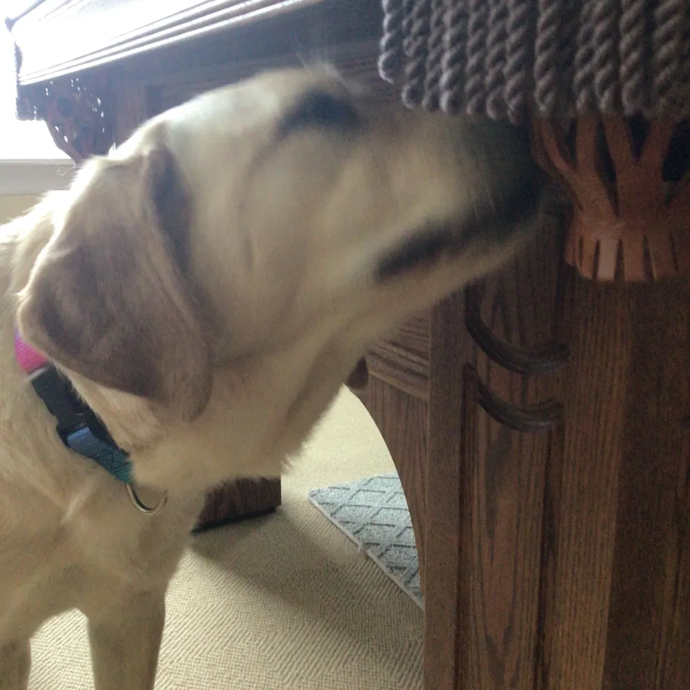 ryanlohner.bsky.social's profile picture