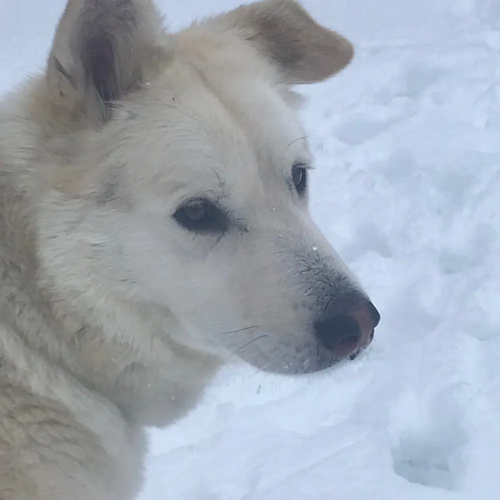 north52.bsky.social's profile picture