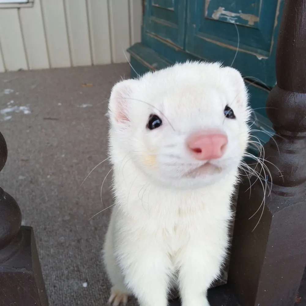 bernaboop.bsky.social's profile picture