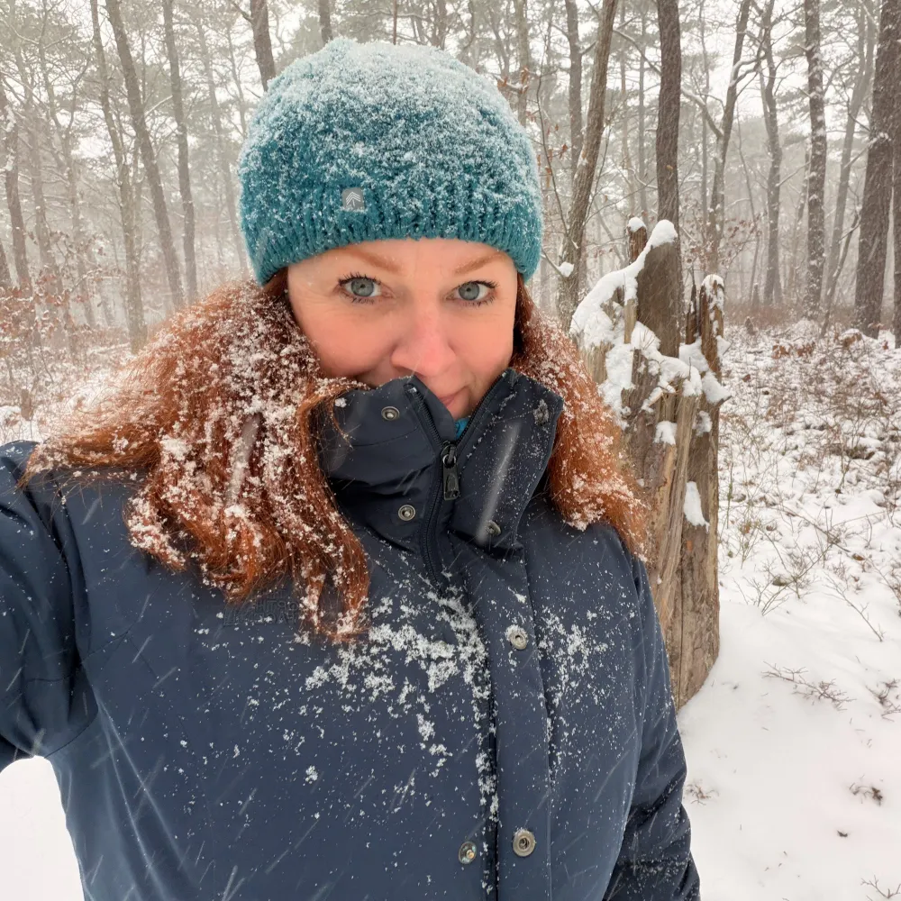 icebird.bsky.social's profile picture