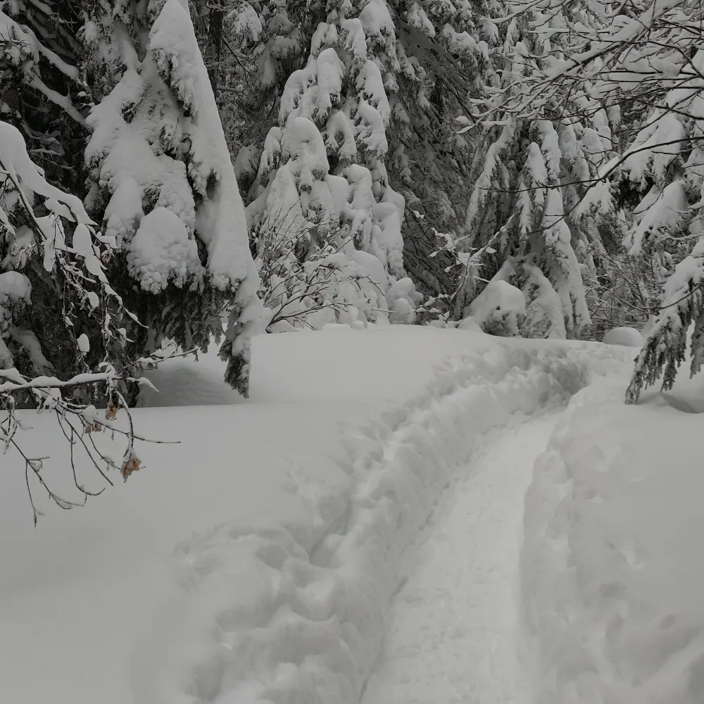 ubermurph.bsky.social's profile picture