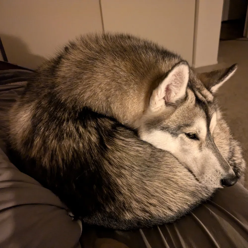 jachra.bsky.social's profile picture