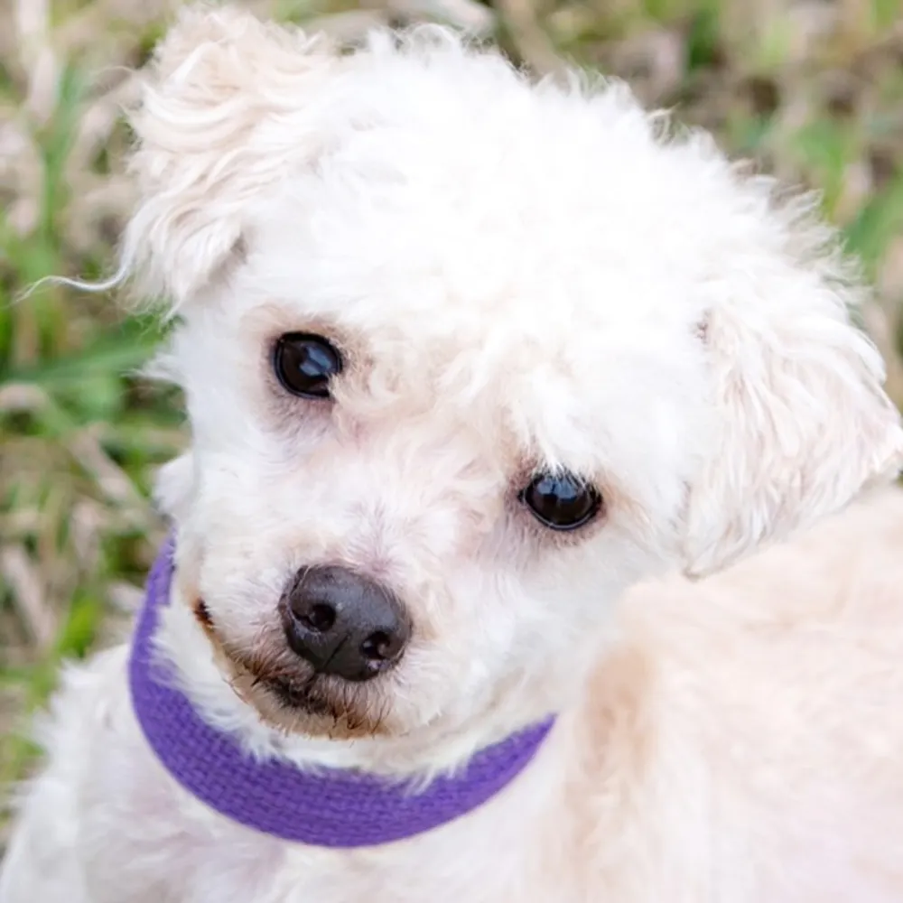 ladym1.bsky.social's profile picture