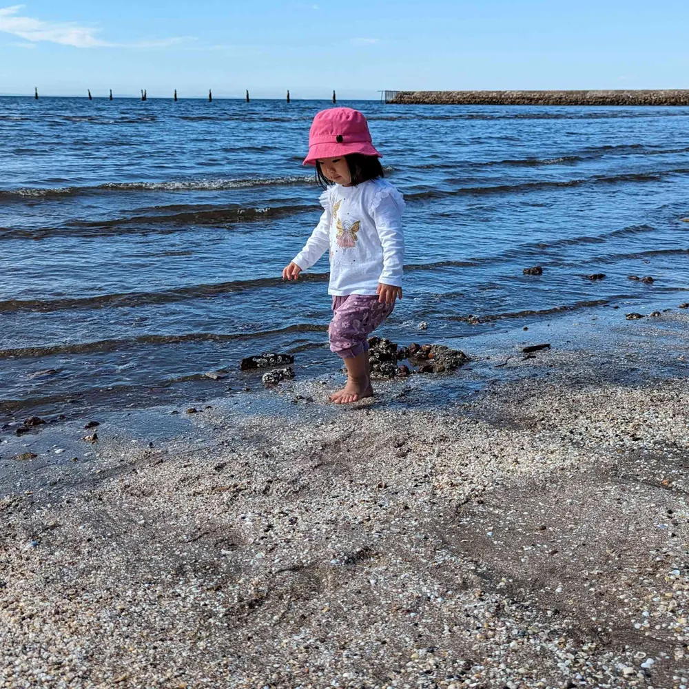 gretadino.bsky.social's profile picture