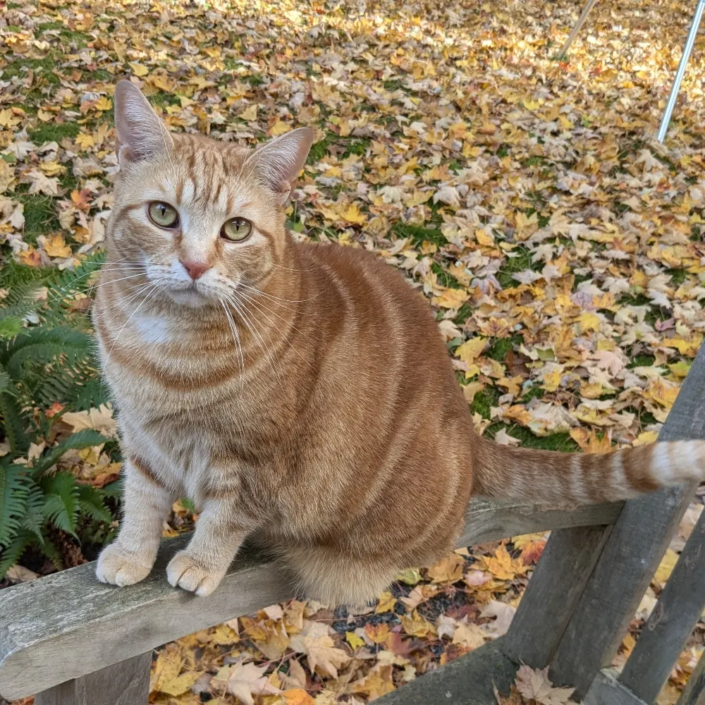 rwsbob.bsky.social's profile picture