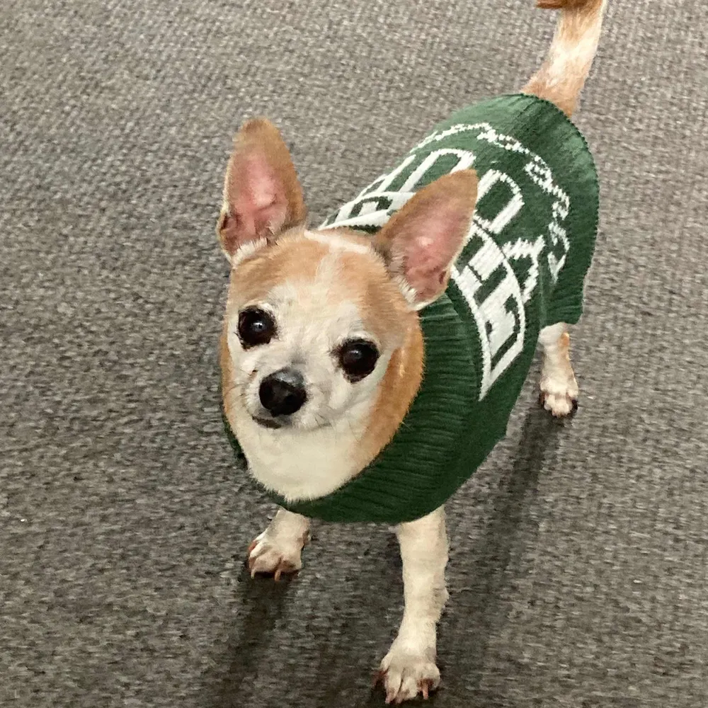 ximenavargas.bsky.social's profile picture