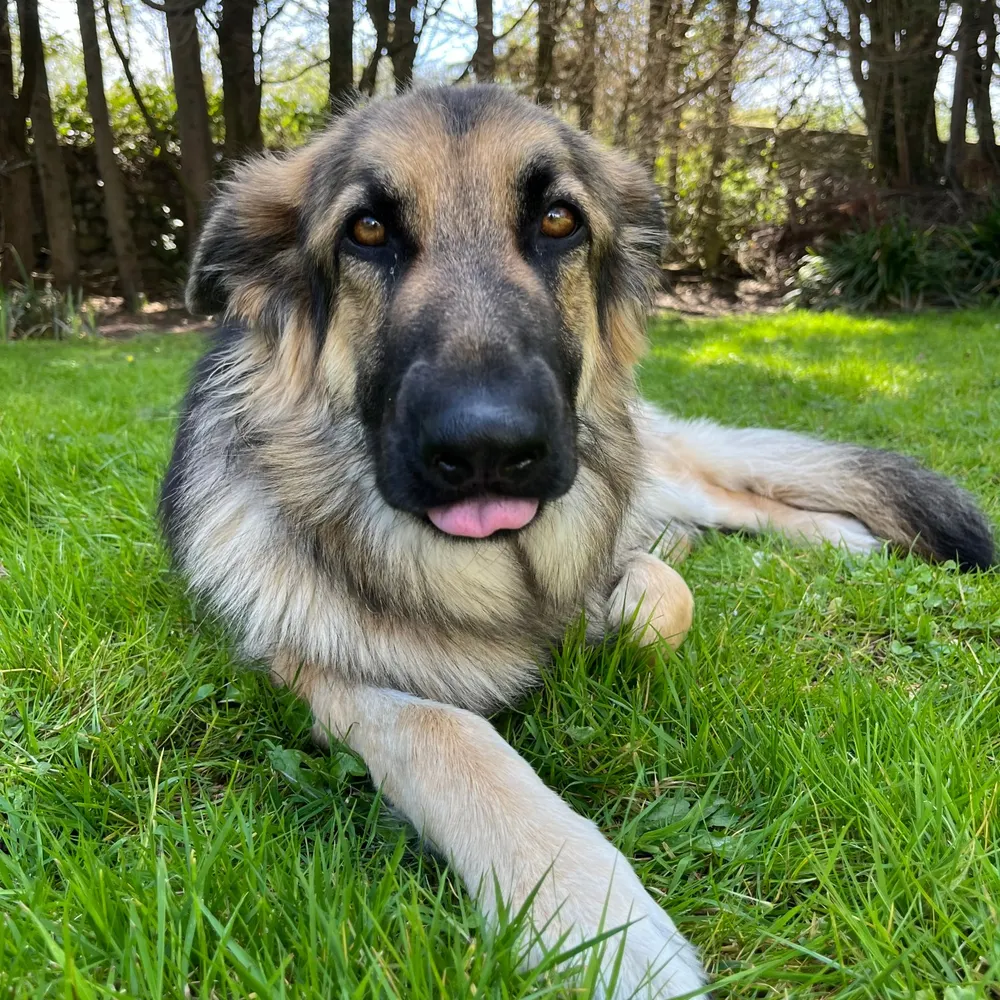 thorpa.bsky.social's profile picture