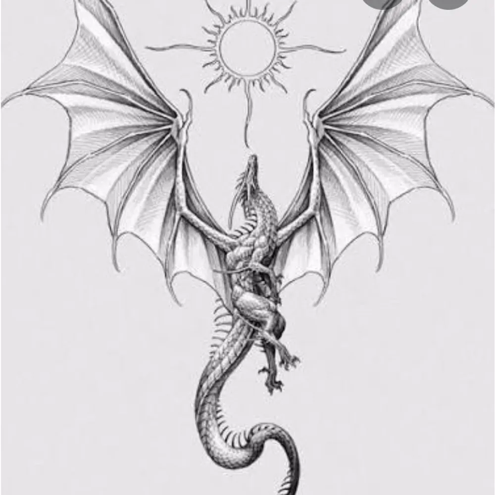 dragonofthe1.bsky.social's profile picture