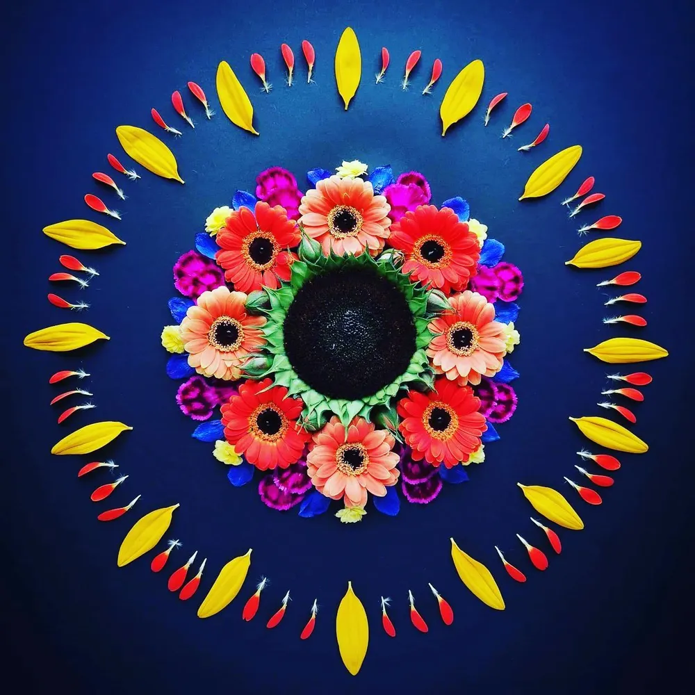 stlthmc.bsky.social's profile picture