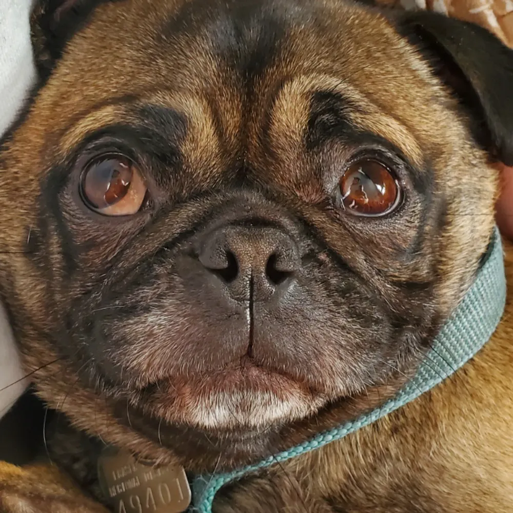 markfry.bsky.social's profile picture