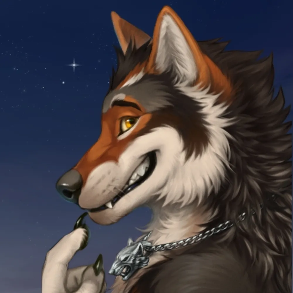 akaibrotherwolf.bsky.social's profile picture