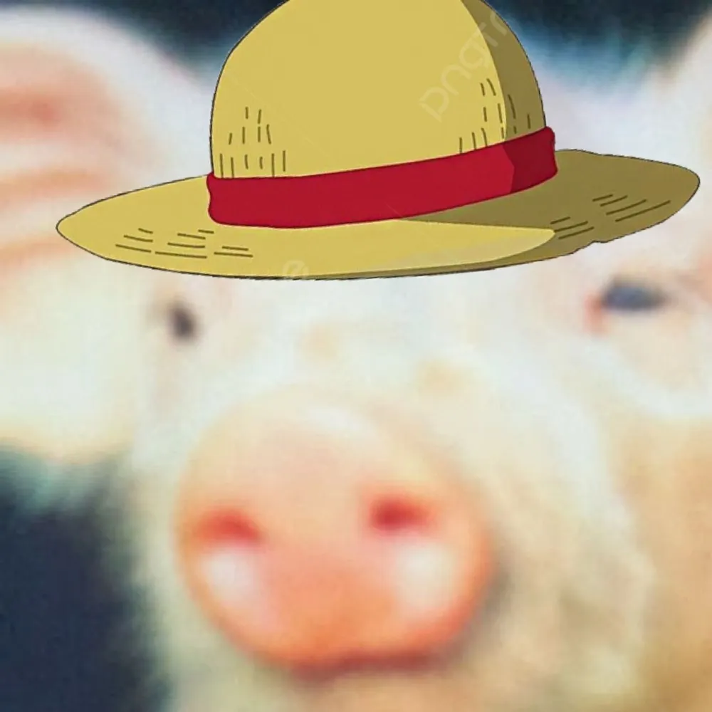 ornerypiglett.bsky.social's profile picture