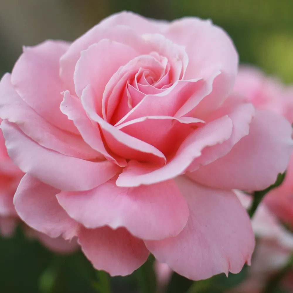 progressivebeat.bsky.social's profile picture