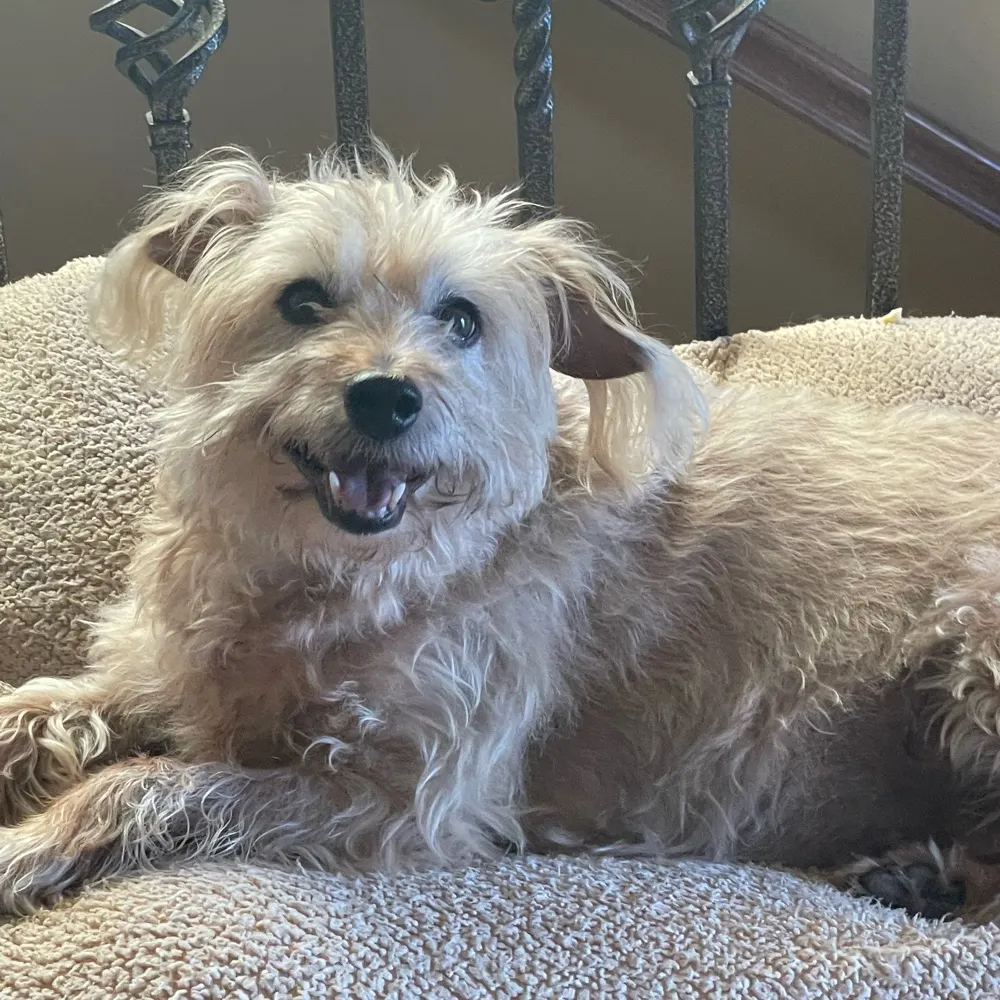 lexi6toes.bsky.social's profile picture