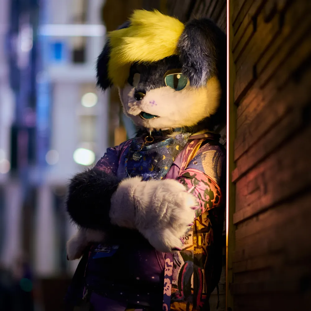 louish.bsky.social's profile picture