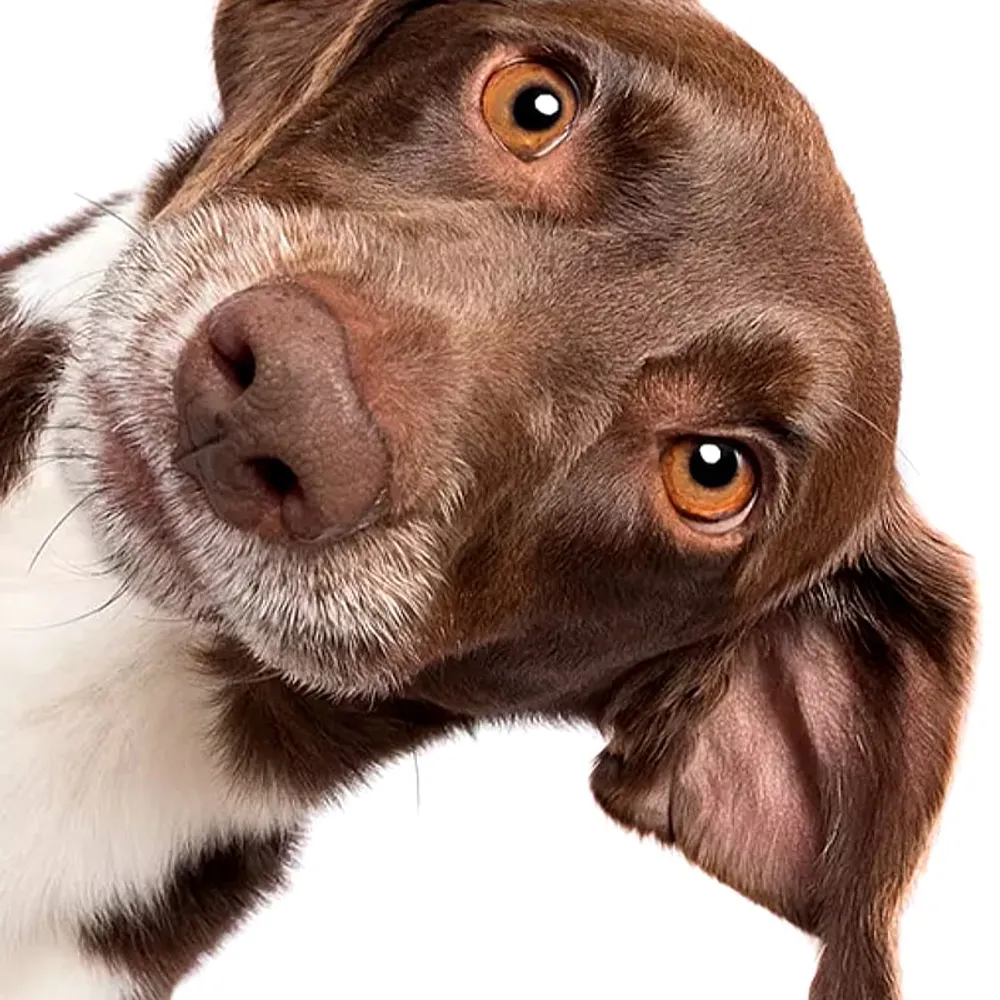 tom-bu.bsky.social's profile picture