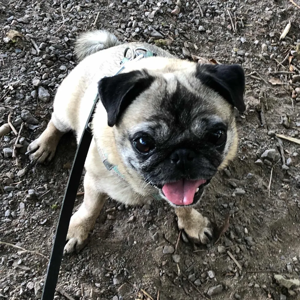 madrevolver.bsky.social's profile picture