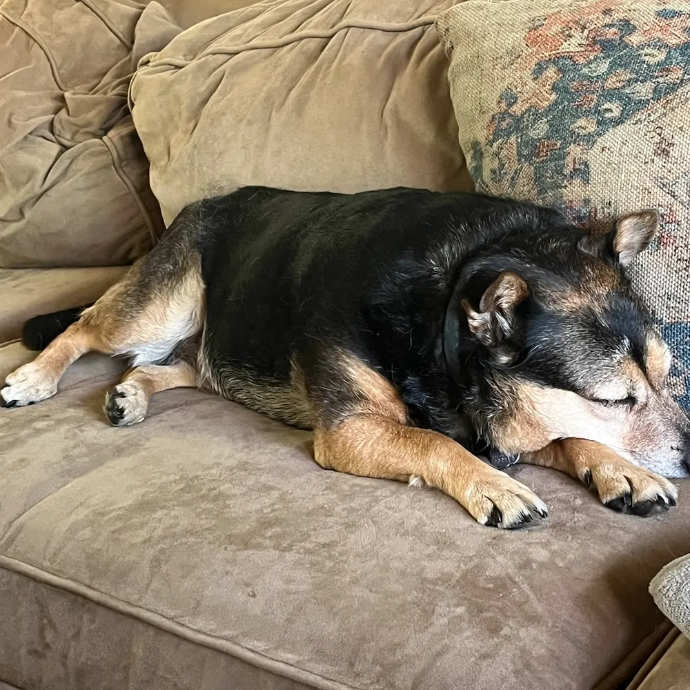 jtdc.bsky.social's profile picture