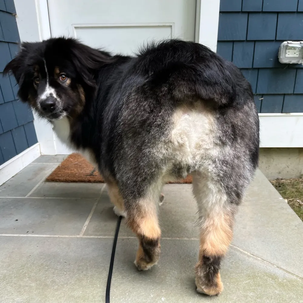 breadboyonline.bsky.social's profile picture