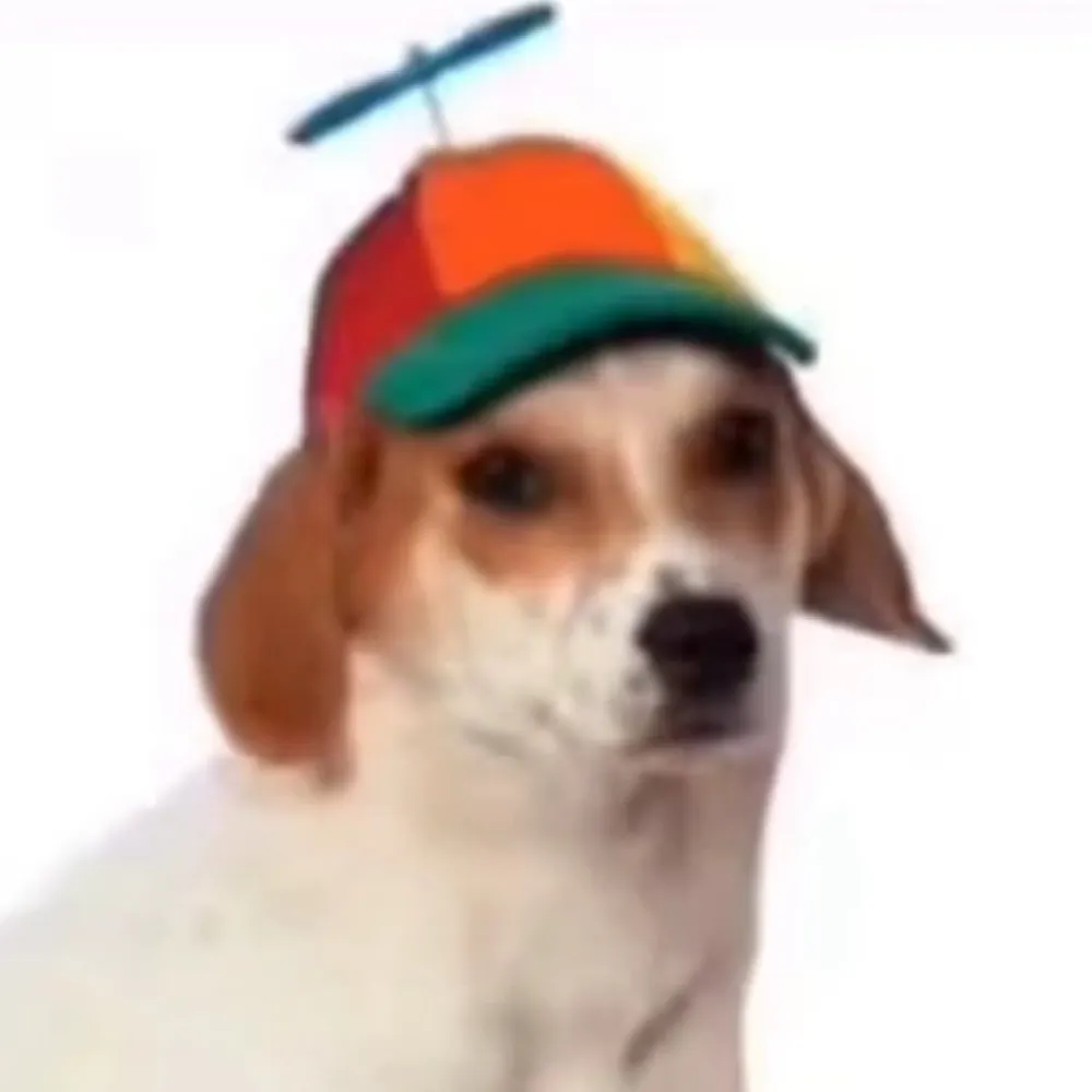 nooneatall1029.bsky.social's profile picture