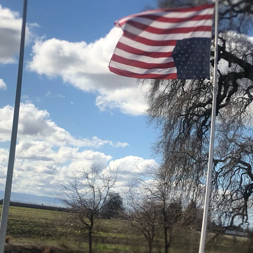 dhumph.bsky.social's profile picture