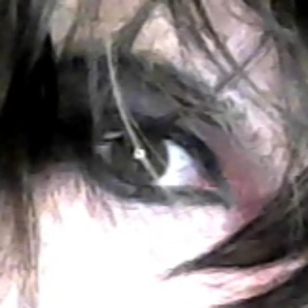 amon26.bsky.social's profile picture