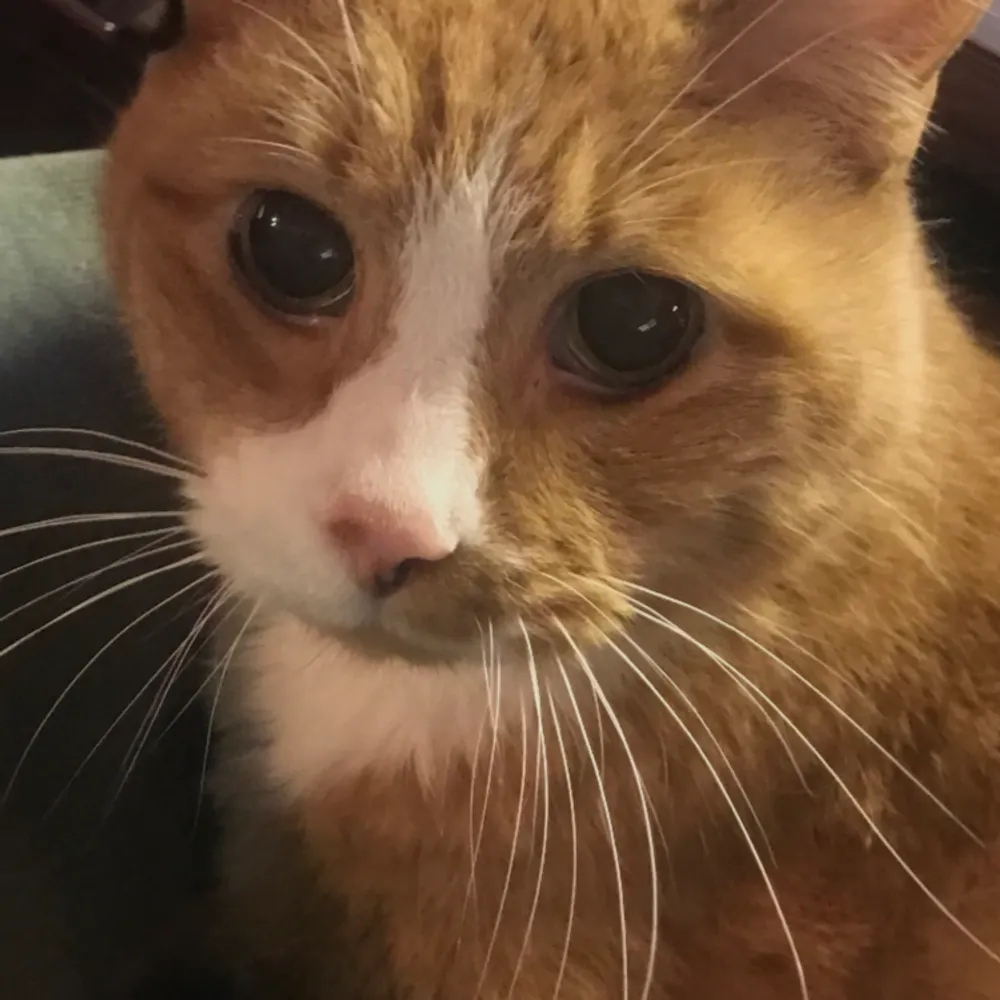 coyote108.bsky.social's profile picture