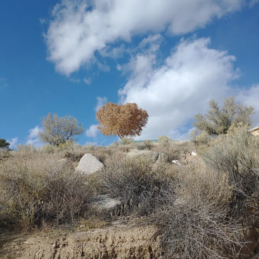 kevinhalse.bsky.social's profile picture