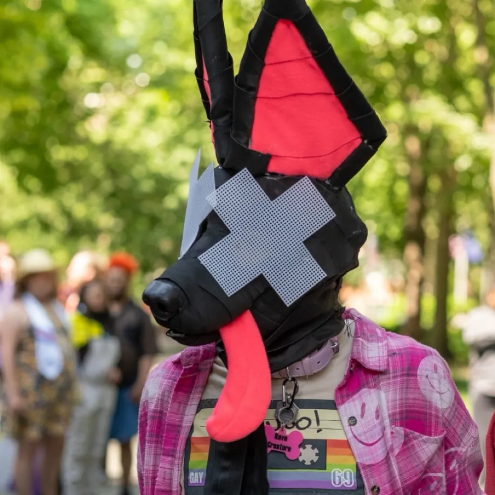 disparodee.bsky.social's profile picture