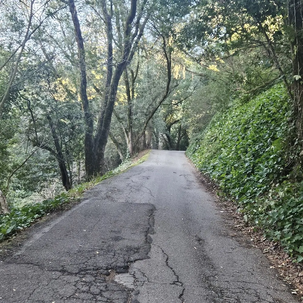 lelandbay.bsky.social's profile picture