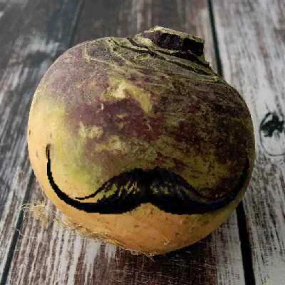 rootvegserf.bsky.social's profile picture