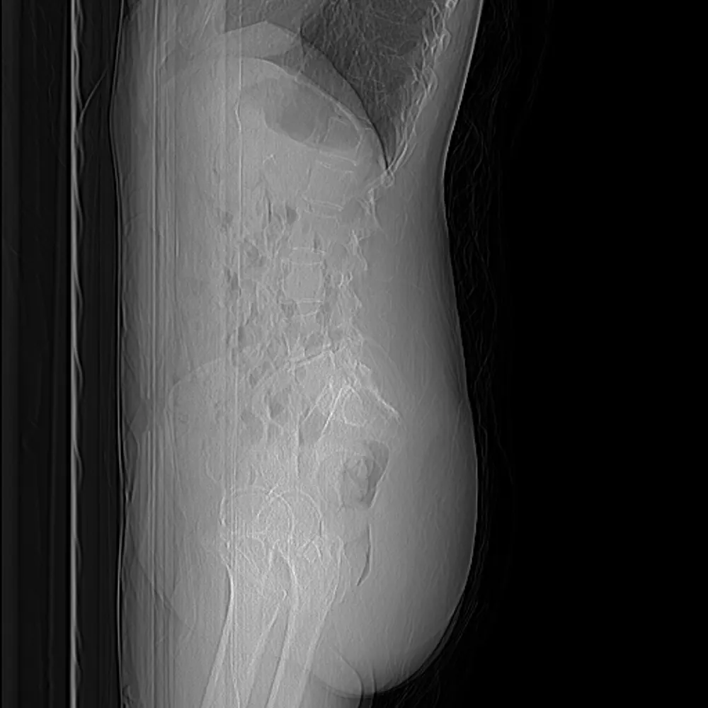 unicorncancer159.bsky.social's profile picture