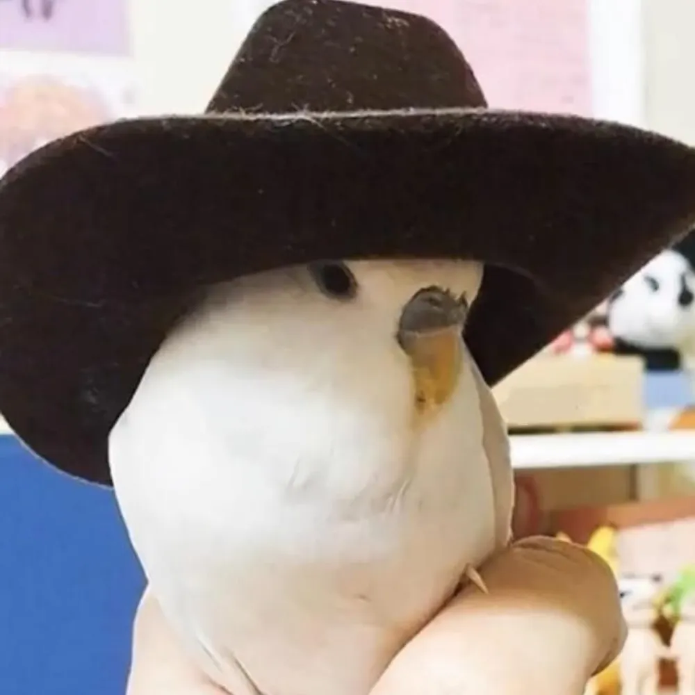 jonasmckay.bsky.social's profile picture