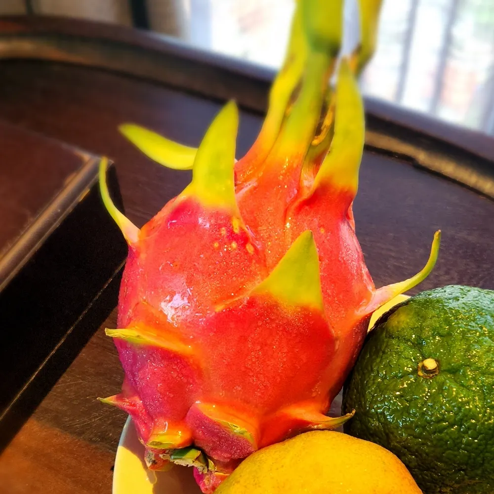 biubay.bsky.social's profile picture