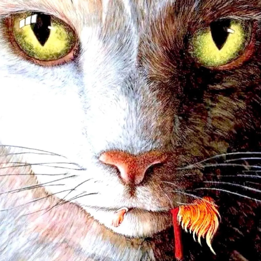 steelerchick.bsky.social's profile picture