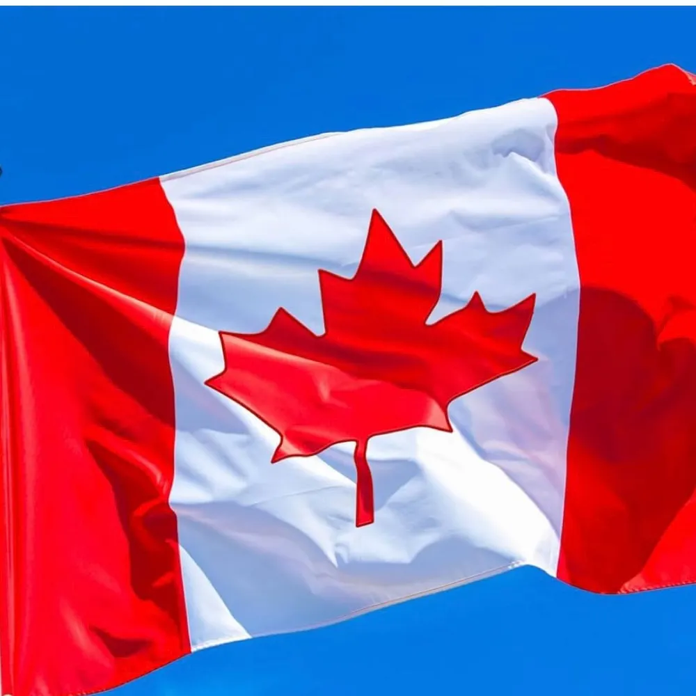 scampbelledegg.bsky.social's profile picture