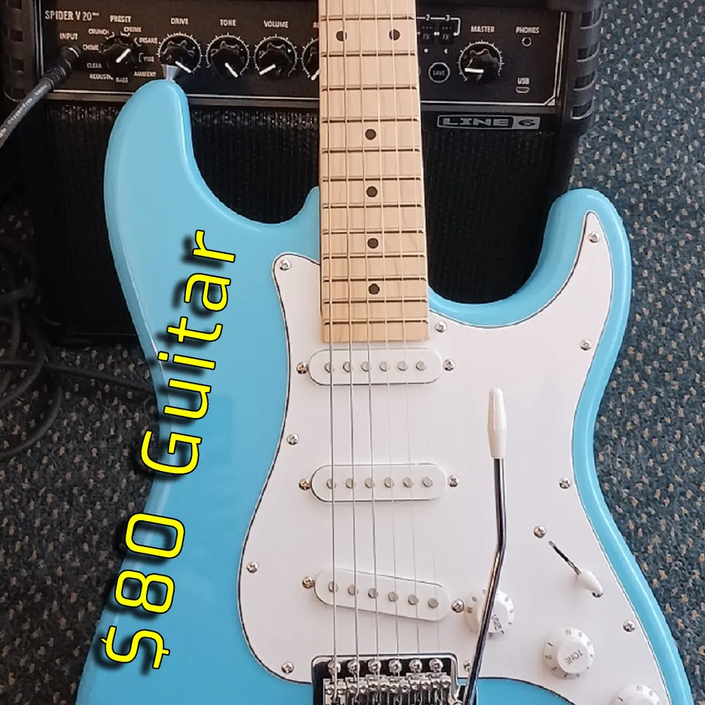 80dollarguitar.bsky.social's profile picture